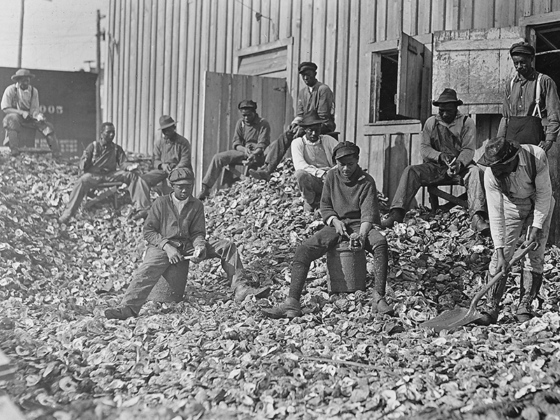 Oyster_shuckers_at_Apalachicola,_Fla._This_work_is_carried_on_by_many_young_boys_during_the_busy_seasons._This_is_a…_-_NARA_-_523162